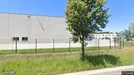 Commercial property for rent, Balen, Antwerp (Province), Puttestraat 20, Belgium